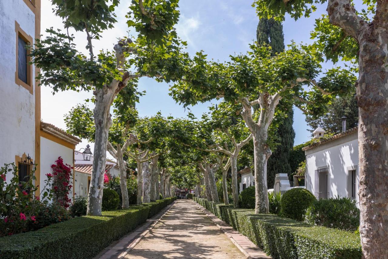 El Cortijo De Los Mimbrales El Rocio Luaran gambar