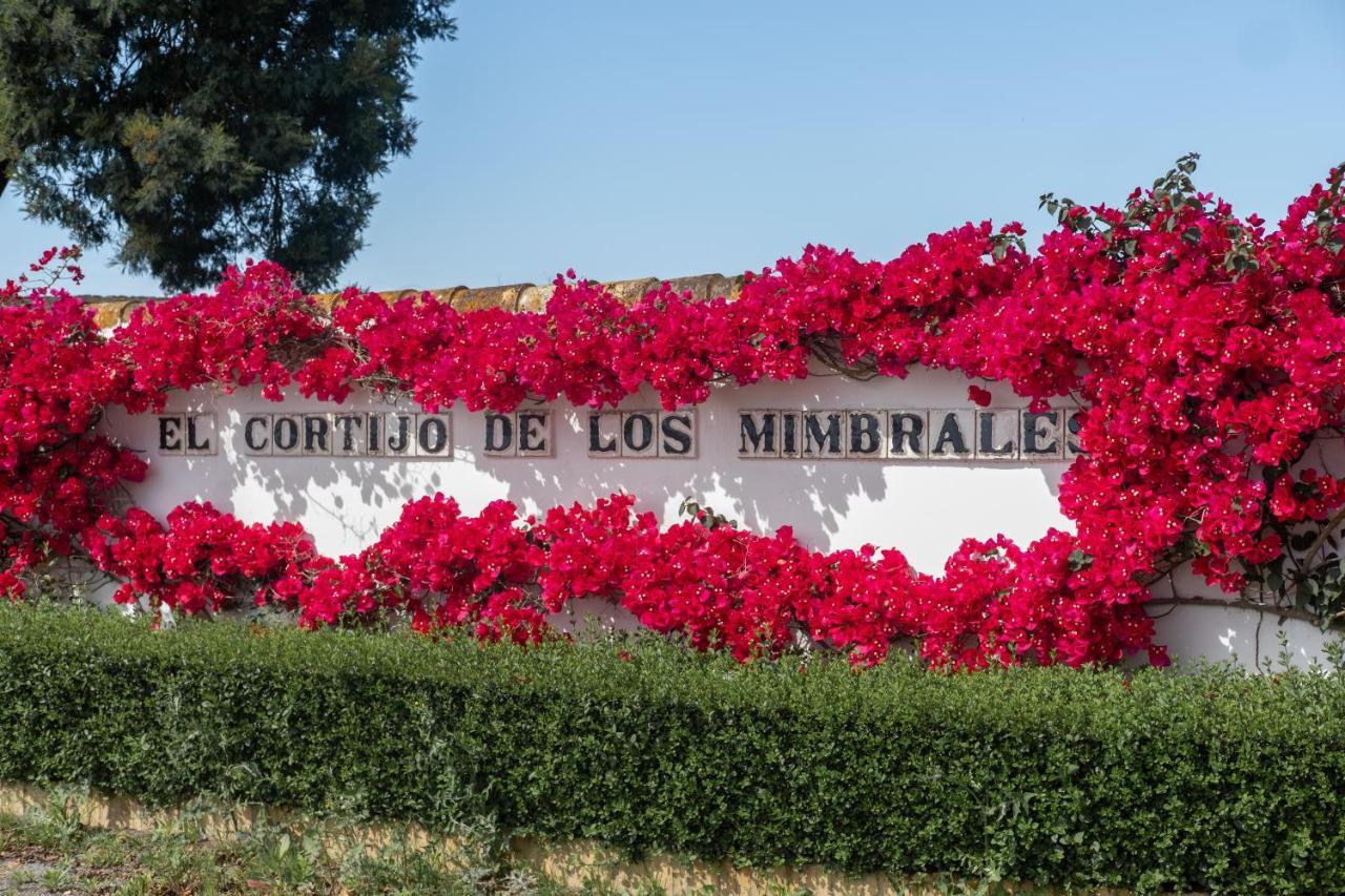 El Cortijo De Los Mimbrales El Rocio Luaran gambar