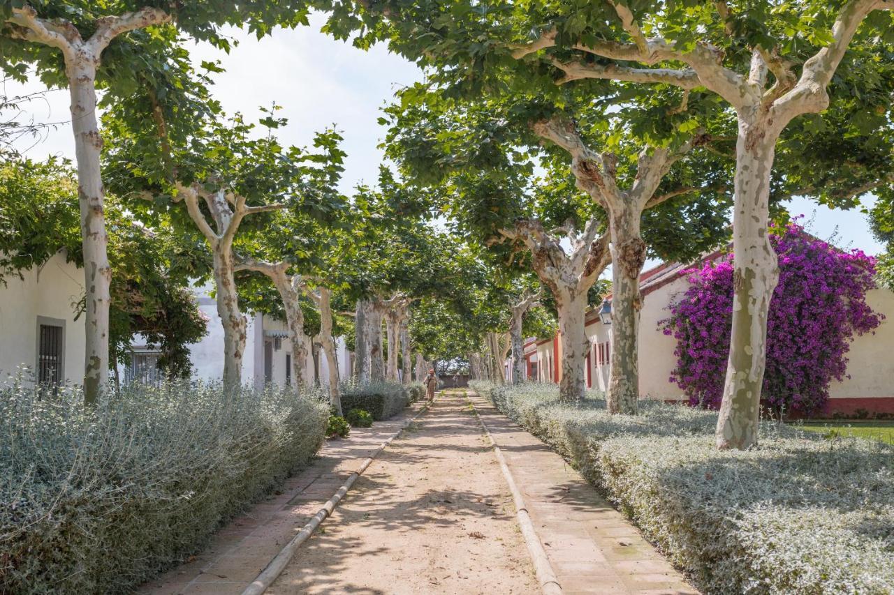 El Cortijo De Los Mimbrales El Rocio Luaran gambar